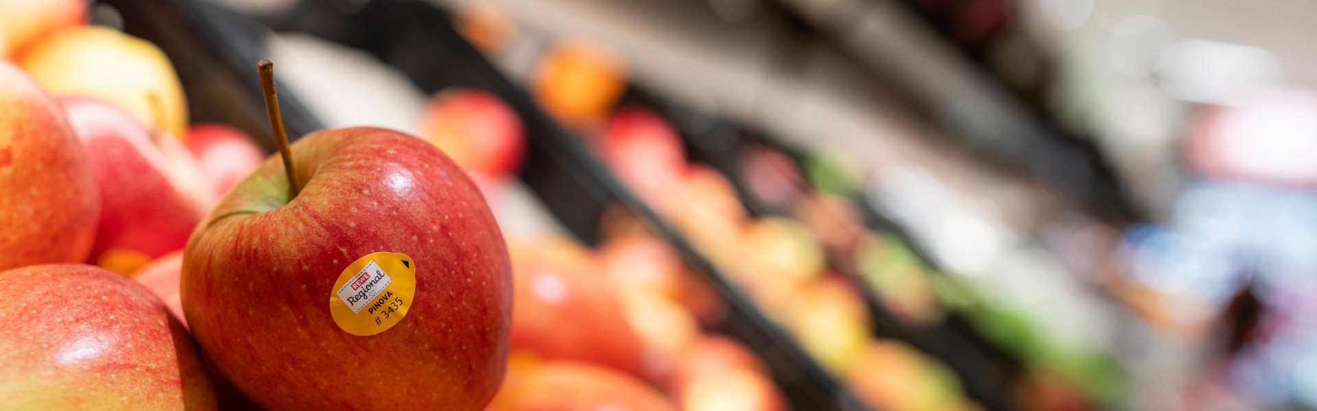 Apfel 
