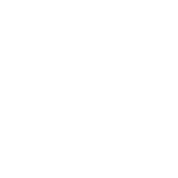 PLATTENSERVICE Icon