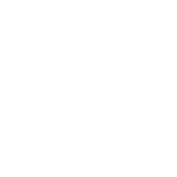Einkaufswagen Icon